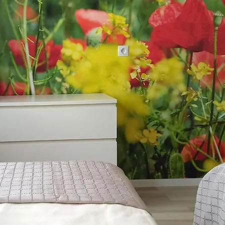 Abendsonne Apartamento Coblenza