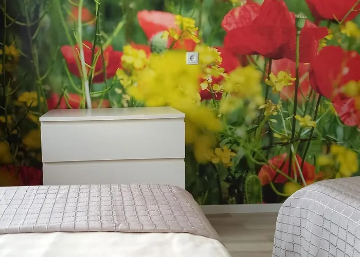 Abendsonne Lägenhet Koblenz (Rhineland-Palatinate)