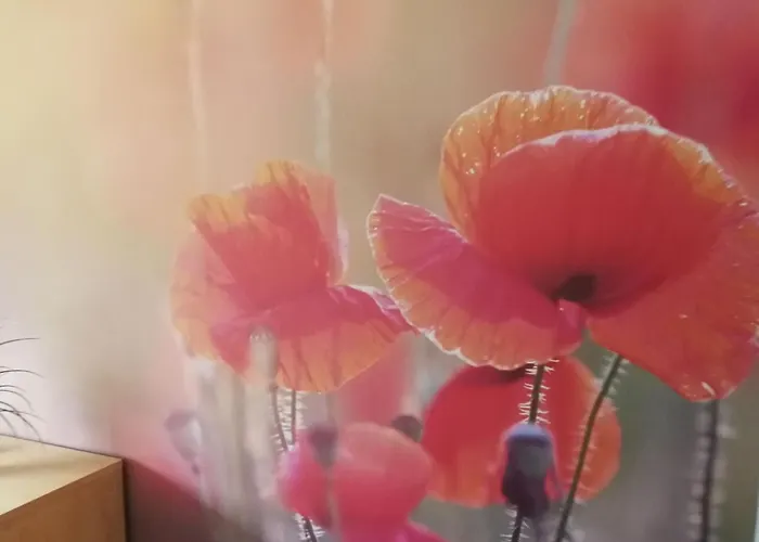 Abendsonne アパート *